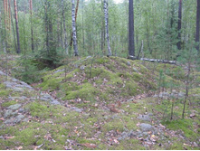 ���-�� ����������...