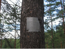 ��� ��� ��� ���!