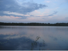 ����� ������ ������������. ����� �������� :)