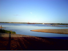 IMG0321.jpg