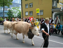 2011-06-19 13.59.31.jpg