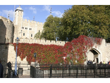 ������� �����