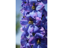 ���������� 2.jpg