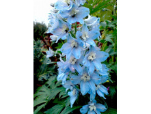 ���������� ������� � ���. �������