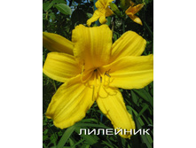 �������� � ������ �.jpg