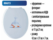 ������� ����� �������: 80*615 , 1010 ���