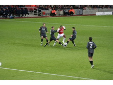 ���� ������ �����