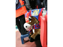 ��������, ������� ���� ������ ������