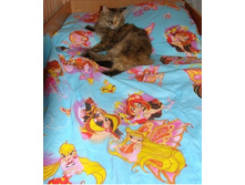 �������� ������.�����