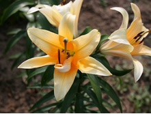 27.07.11������� 076.jpg