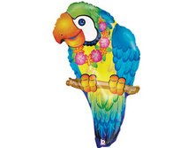 ����������� �������.jpg