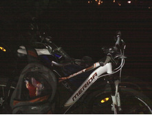 IMG0407.jpg
