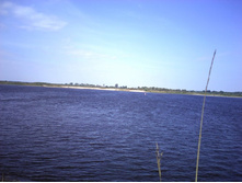 IMG0423.jpg
