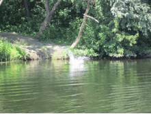 ����������� 086.jpg