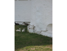 ����������� 144.jpg