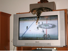 ���� � ��� ���� ���������.jpg