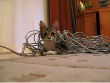 ���� - �������!.jpg