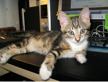 ���� ���������.jpg