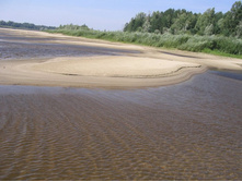 ���� ��������