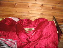 � �� ��� ���.���� ��������� � ��� ������� ���������