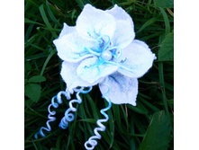 ��������� ��� �����