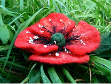 ��� ���� ���