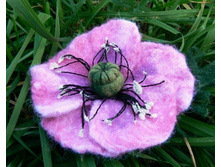 ��� �������, �������