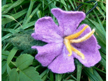 ����� �� ��������