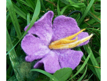 ������� ��� �����