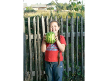 ���! ����� �����!