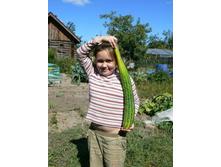 ������, ����� 54 ��.