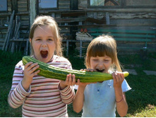 ������������?