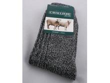 ����� ������� �500