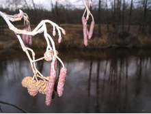 ����� � �������