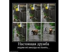 1259172203_1259160w.jpeg