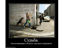 1259172308_1259161g.jpeg