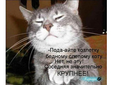 1274058699_9.jpg