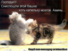 938273040403e3bba8f0cf005b8.jpg