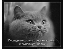 f1c34e075808.jpg
