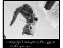 1232123480_a4db3a140a7f.jpg