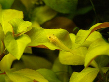 ��������� ����� 29.08.11