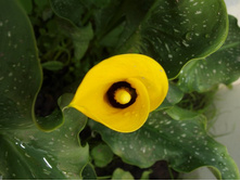 ����������� 312.jpg