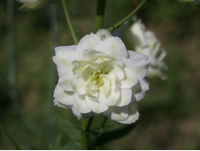 22.07.11 018..9500.jpg