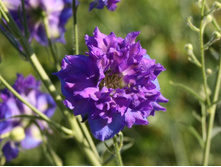 24.07.11 039�����1.jpg