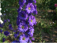 30.07.11 085�����1.jpg