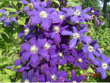 ����������� 268.jpg