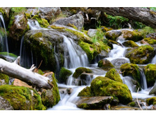 ���. ����