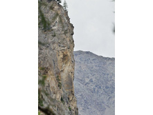 ���������.