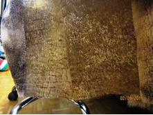 ����������� 648.jpg