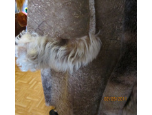 ����������� 646.jpg